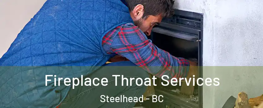  Fireplace Throat Services Steelhead - BC