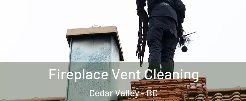  Fireplace Vent Cleaning Cedar Valley - BC