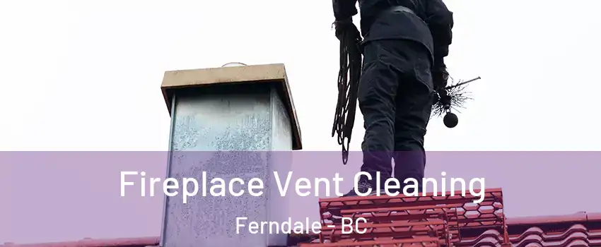  Fireplace Vent Cleaning Ferndale - BC
