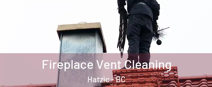  Fireplace Vent Cleaning Hatzic - BC
