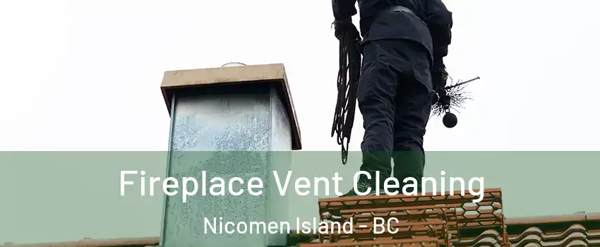  Fireplace Vent Cleaning Nicomen Island - BC