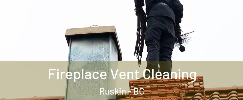  Fireplace Vent Cleaning Ruskin - BC