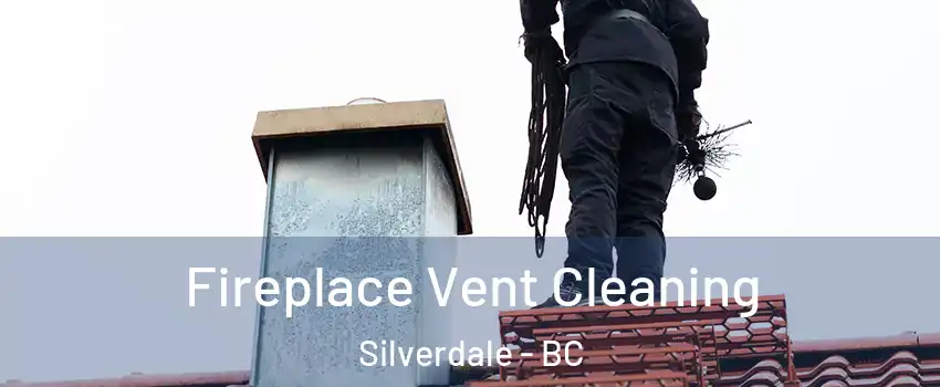  Fireplace Vent Cleaning Silverdale - BC
