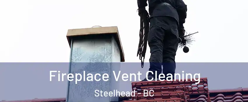  Fireplace Vent Cleaning Steelhead - BC
