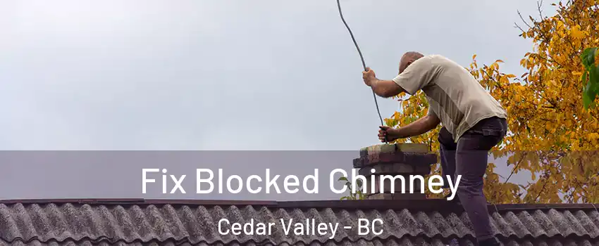  Fix Blocked Chimney Cedar Valley - BC