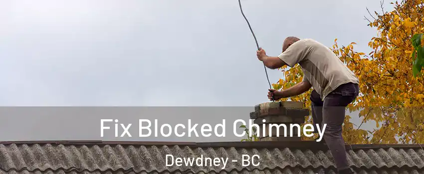  Fix Blocked Chimney Dewdney - BC