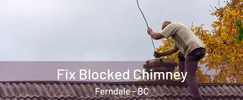  Fix Blocked Chimney Ferndale - BC