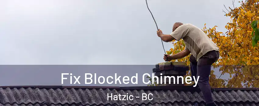  Fix Blocked Chimney Hatzic - BC