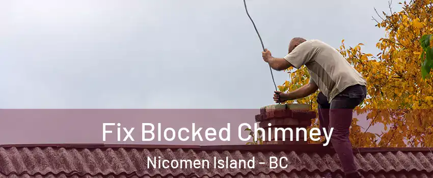  Fix Blocked Chimney Nicomen Island - BC