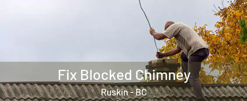  Fix Blocked Chimney Ruskin - BC