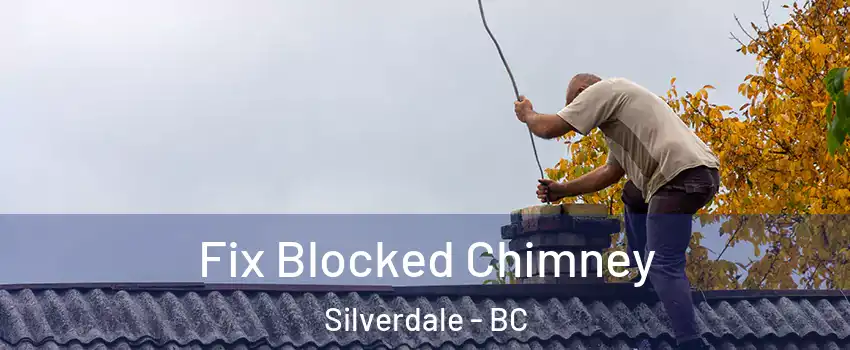  Fix Blocked Chimney Silverdale - BC