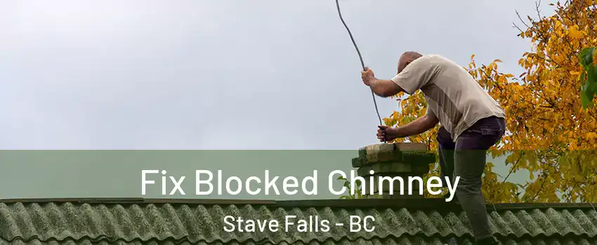  Fix Blocked Chimney Stave Falls - BC