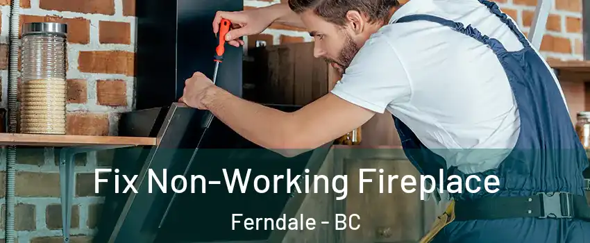  Fix Non-Working Fireplace Ferndale - BC
