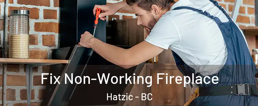  Fix Non-Working Fireplace Hatzic - BC