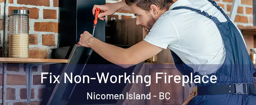  Fix Non-Working Fireplace Nicomen Island - BC