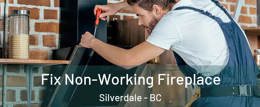  Fix Non-Working Fireplace Silverdale - BC
