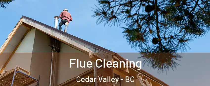  Flue Cleaning Cedar Valley - BC