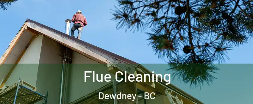  Flue Cleaning Dewdney - BC