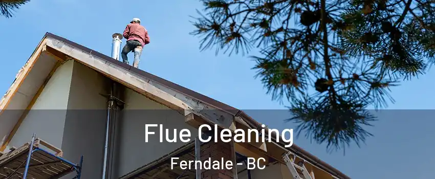  Flue Cleaning Ferndale - BC