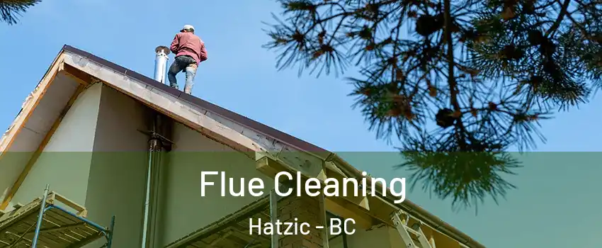  Flue Cleaning Hatzic - BC