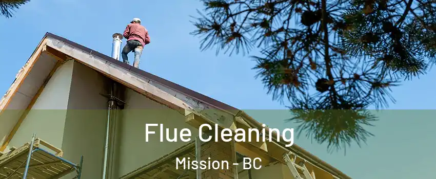  Flue Cleaning Mission - BC
