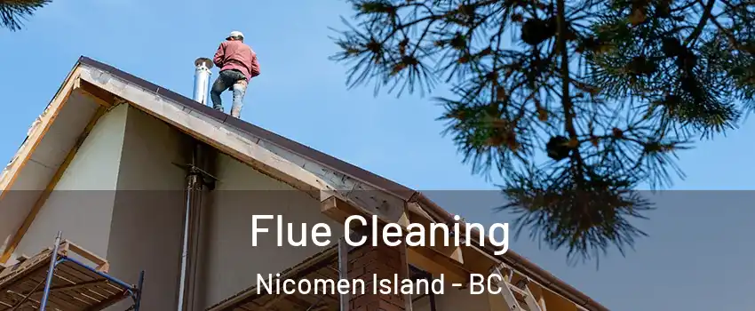  Flue Cleaning Nicomen Island - BC