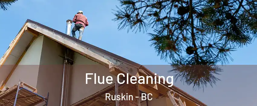  Flue Cleaning Ruskin - BC