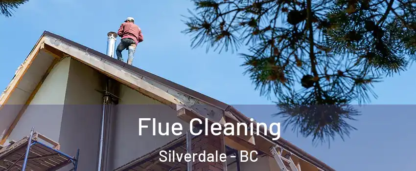  Flue Cleaning Silverdale - BC
