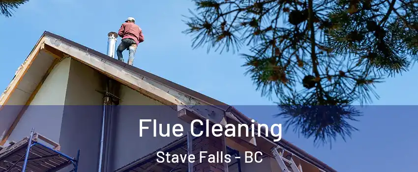  Flue Cleaning Stave Falls - BC