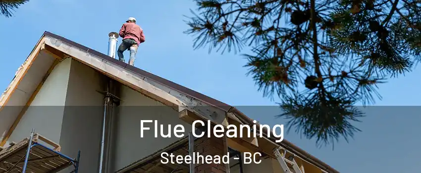  Flue Cleaning Steelhead - BC