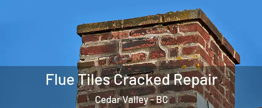  Flue Tiles Cracked Repair Cedar Valley - BC