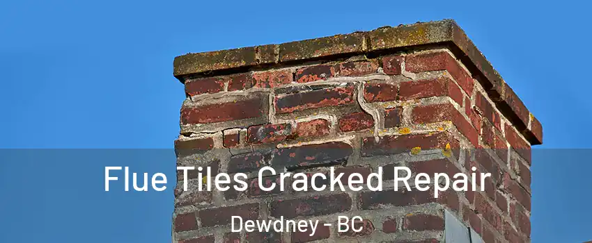  Flue Tiles Cracked Repair Dewdney - BC
