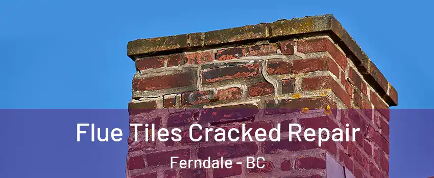  Flue Tiles Cracked Repair Ferndale - BC