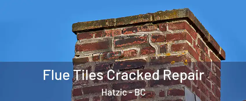  Flue Tiles Cracked Repair Hatzic - BC