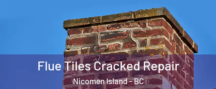  Flue Tiles Cracked Repair Nicomen Island - BC