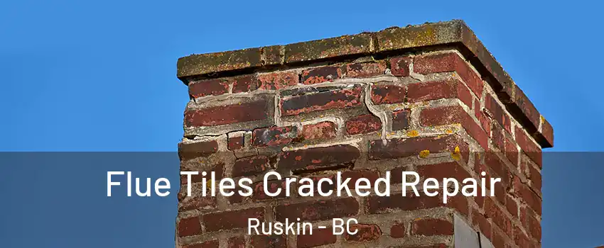  Flue Tiles Cracked Repair Ruskin - BC