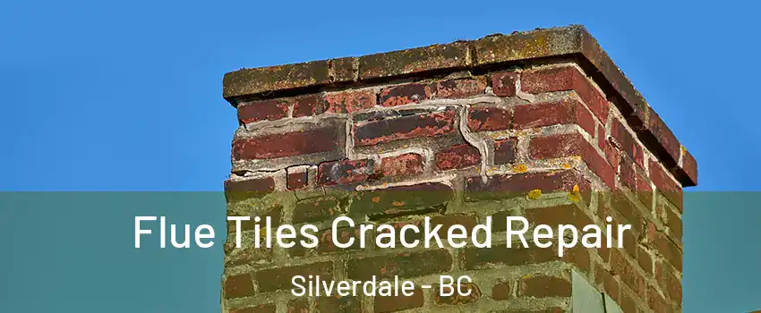  Flue Tiles Cracked Repair Silverdale - BC