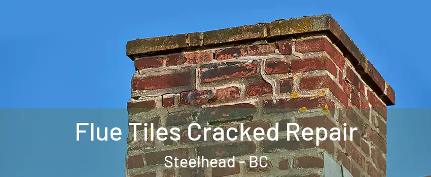  Flue Tiles Cracked Repair Steelhead - BC