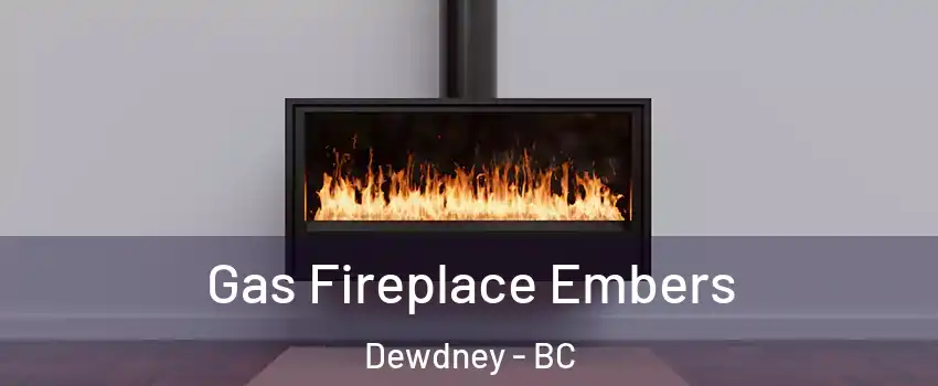  Gas Fireplace Embers Dewdney - BC