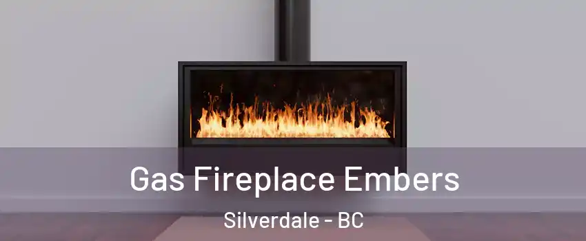  Gas Fireplace Embers Silverdale - BC