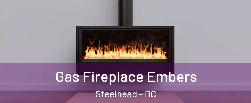  Gas Fireplace Embers Steelhead - BC