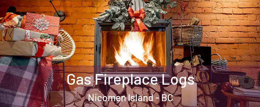  Gas Fireplace Logs Nicomen Island - BC