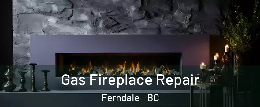  Gas Fireplace Repair Ferndale - BC