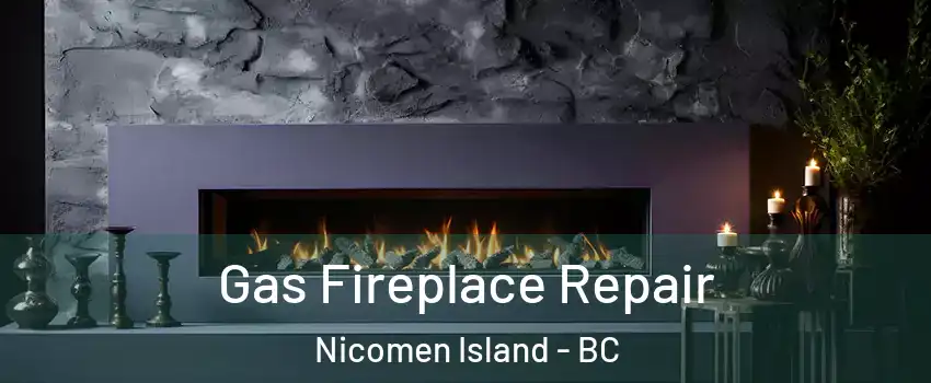  Gas Fireplace Repair Nicomen Island - BC
