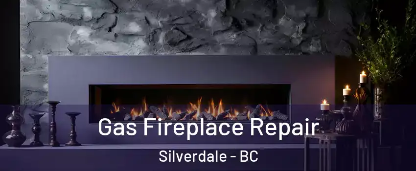  Gas Fireplace Repair Silverdale - BC