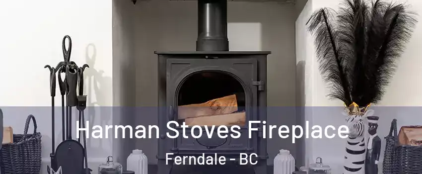  Harman Stoves Fireplace Ferndale - BC