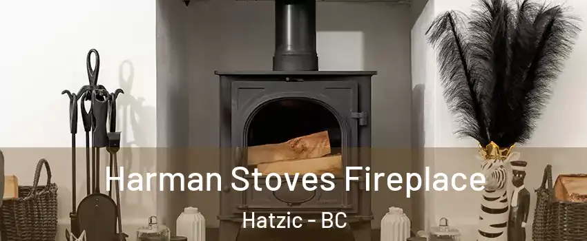  Harman Stoves Fireplace Hatzic - BC