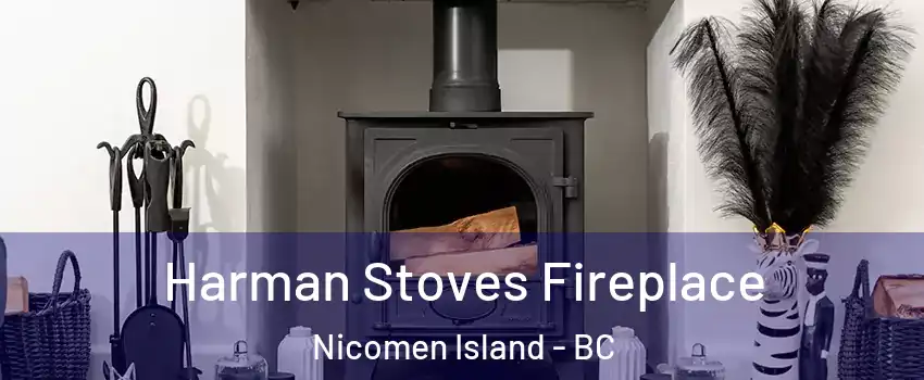  Harman Stoves Fireplace Nicomen Island - BC