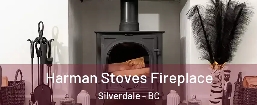  Harman Stoves Fireplace Silverdale - BC