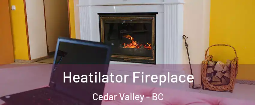  Heatilator Fireplace Cedar Valley - BC